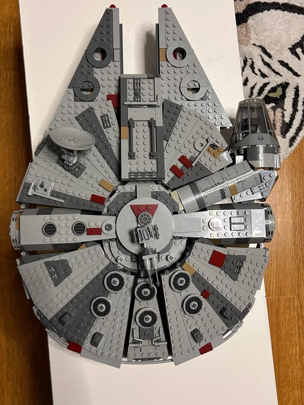Gray millennial falcon - Picture 7 of 7